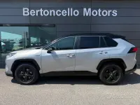 Usata Toyota RAV4 Hybrid Style 178 CV (130 kW) 2020 Grigio SUV