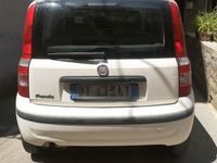 Usata Fiat Panda Active 54 CV (39 kW) 2009 Bianco Utilitaria