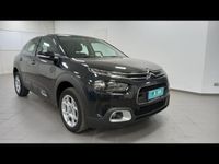 usata Citroën C4 Cactus BlueHDi 100 S&S Feel