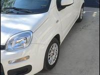 Usata Fiat Panda 2014 Bianco Utilitaria