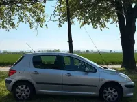 Usata Peugeot 307 90 CV (66 kW) 2006 Grigio Berlina