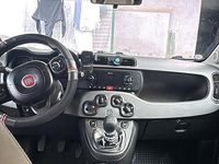 Usata Fiat Panda 4x4 95 CV (69 kW) 2017 Bianco Utilitaria