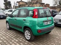 Usata Fiat Panda Pop 84 CV (61 kW) 2014 Verde Utilitaria
