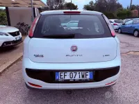 Usata Fiat Punto Evo Dynamic 77 CV (56 kW) 2011 Bianco Utilitaria