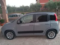 Usata Fiat Panda 69 CV (50 kW) 2019 Grigio Utilitaria
