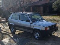 Usata Fiat Panda 4x4 Trekking 54 CV (39 kW) 2002 Argento Utilitaria