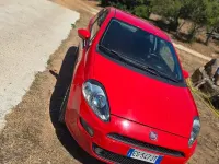 Usata Fiat Punto Evo 75 CV (55 kW) 2013 Rosso Utilitaria