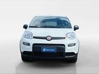 usata Fiat Panda 1.0 FireFly Hybrid