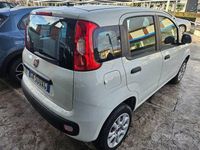 Usata Fiat Panda Easy 84 CV (61 kW) 2020 Bianco pastello Utilitaria