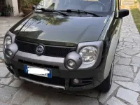 Usata Fiat Panda 4x4 Cross 69 CV (50 kW) 2006 Verde Utilitaria