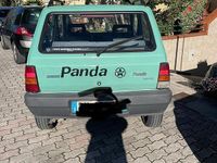 Usata Fiat Panda 2001 Utilitaria