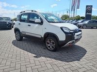 Usata Fiat Panda Cross Cross 85 CV (62 kW) 2020 Bianco Utilitaria