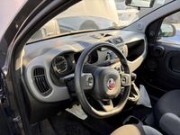 Usata Fiat Panda City Life 85 CV (62 kW) 2021 Grigio Utilitaria