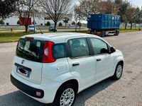 Usata Fiat Panda Easy 69 CV (50 kW) 2019 Bianco Utilitaria
