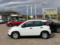 Usata Fiat Panda S 70 CV (51 kW) 2023 Bianco Utilitaria