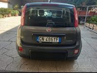 Usata Fiat Panda 2023 Grigio Utilitaria