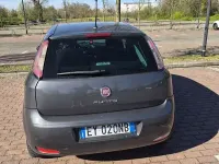 Usata Fiat Punto Young 77 CV (56 kW) 2015 Grigio Utilitaria