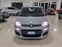 Usata Fiat Panda S 70 CV (51 kW) 2021 Grigio Utilitaria