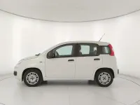 Usata Fiat Panda Easy 69 CV (50 kW) 2018 Bianco Utilitaria