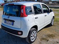 Usata Fiat Panda Easy 71 CV (52 kW) 2020 Bianco Berlina