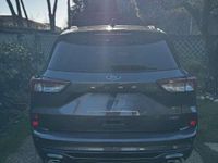 Usata Ford Kuga ST-Line X 224 CV (164 kW) 2023 SUV