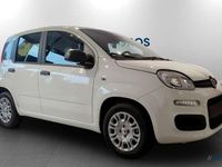 Nuova Fiat Panda Icon 69 CV (50 kW) 2026 Bianco gelato Utilitaria