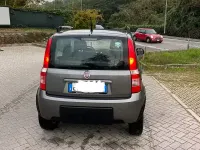 Usata Fiat Panda 4x4 69 CV (50 kW) 2010 Grigio Utilitaria