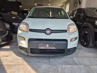 Usata Fiat Panda S 69 CV (50 kW) 2024 Bianco Utilitaria
