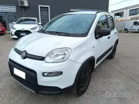 Usata Fiat Panda 4x4 S 84 CV (61 kW) 2020 Bianco Utilitaria