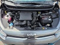 Usata Kia Picanto Style 2023 Grigio Utilitaria