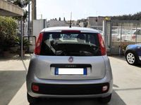 Usata Fiat Panda Easy 69 CV (50 kW) 2019 Argento Utilitaria