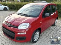 Nuova Fiat Panda Launch Edition 69 CV (50 kW) 2025 Rosso Utilitaria