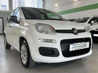 Usata Fiat Panda Easy 69 CV (50 kW) 2020 Bianco Utilitaria