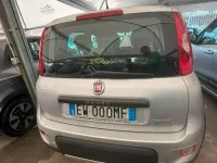 Usata Fiat Panda Pop 69 CV (50 kW) 2014 Argento Utilitaria