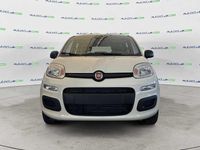 Nuova Fiat Panda Icon 69 CV (50 kW) 2025 Bianco Utilitaria