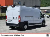 Usata Fiat Ducato 160 CV (117 kW) 2020 Bianco Furgone