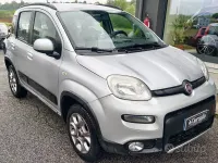 Usata Fiat Panda 4x4 Trekking 85 CV (62 kW) 2012 Grigio Utilitaria