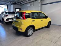 Nuova Fiat Panda Pop 69 CV (50 kW) 2026 Bianco gelato / vari colori Utilitaria