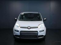 Usata Fiat Panda S 69 CV (50 kW) 2023 Grigio Berlina