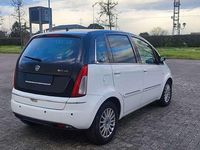 Usata Lancia Musa 90 CV (66 kW) 2010 Bianco Monovolume