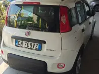 Usata Fiat Panda S 69 CV (50 kW) 2023 Bianco Utilitaria