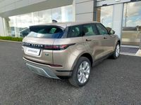 Usata Land Rover Range Rover evoque SE 163 CV (119 kW) 2022 Bronzo SUV
