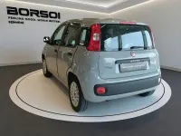 Usata Fiat Panda Easy 69 CV (50 kW) 2017 Grigio finanza Utilitaria
