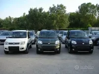 Usata Fiat Panda 4x4 S 75 CV (55 kW) 2013 Verde Utilitaria