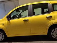 Nuova Fiat Panda Pop 69 CV (50 kW) 2025 Giallo Berlina