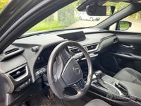 Usata Lexus UX 2019 Verde SUV