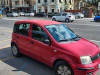 Usata Fiat Panda 54 CV (39 kW) 2008 Rosso Utilitaria