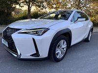 Usata Lexus UX 250h Business Edition 145 CV (106 kW) 2020 Bianco SUV