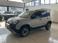 Usata Fiat Panda Cross Cross 86 CV (63 kW) 2024 Beige Utilitaria