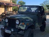 Usata Jeep CJ 1980 Verde SUV